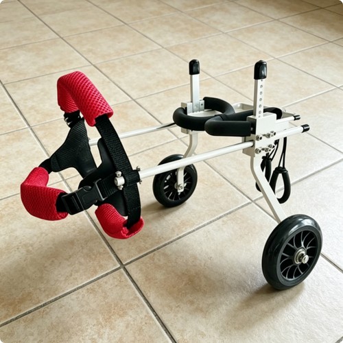 Fauteuil roulant chien pattes - fauteuil,