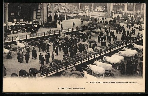 Carte postale paris concours - paris,,