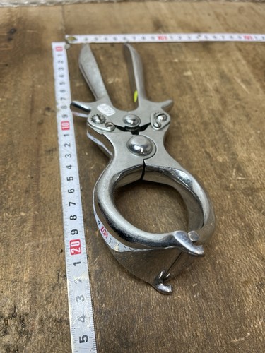 Pince castrer outil non - À,