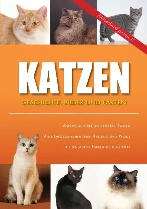 Katzen unknown - katzen,,