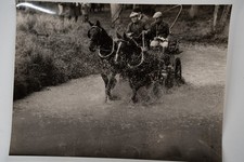 Photo argentique cochers - photo,