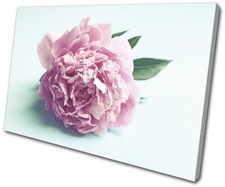 Vintage Flower Retro Botanical