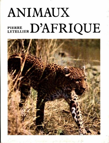 Animaux afrique pierre - animaux,