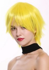 Perruque Femme Homme Cosplay