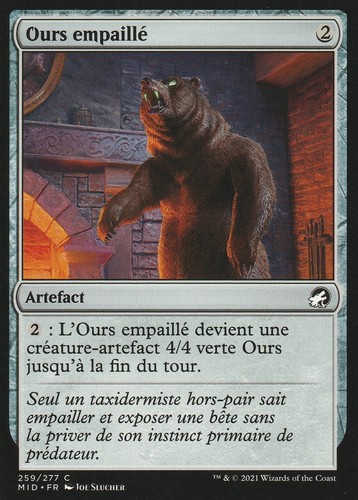 Mtg ours empaillé - mtg,