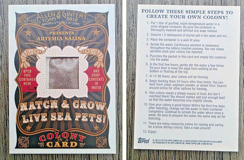 Artemia salina card 2012 topps - salina,