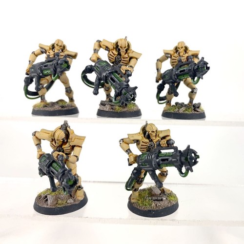 Immortels plastique - x5,