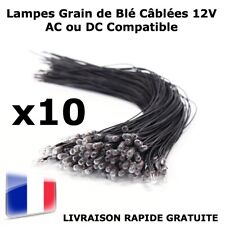 MODÉLISME LOT 10 MINI LAMPES Grain de Blé Câblées 3mm 12V AC ou DC JOUEF MKD