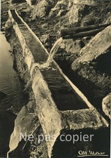 Auvergne 1956 photo albert - 1956,