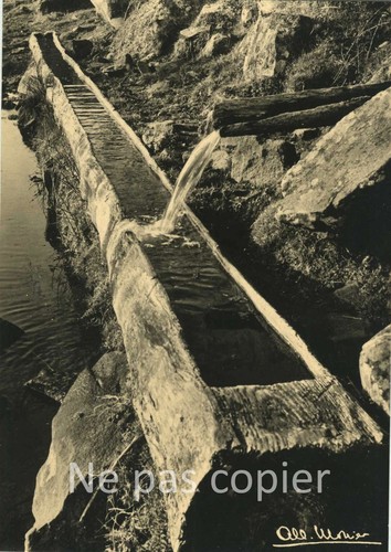 Auvergne 1956 photo albert - photo,