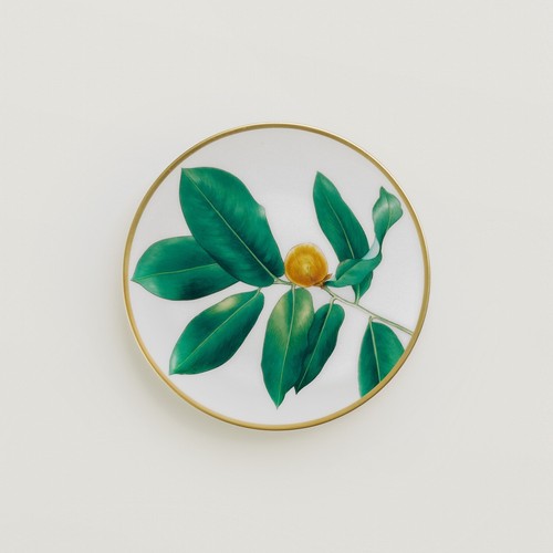 Hermes passifolia plat de - passifolia,