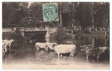 FR02 LA FERE Abreuvoir boeuf vache