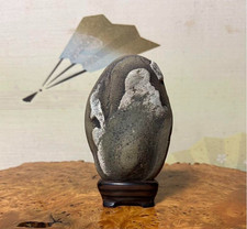 Bonsaï pierre naturelle