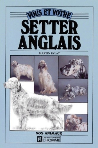 Vous votre setter - setter, anglais
