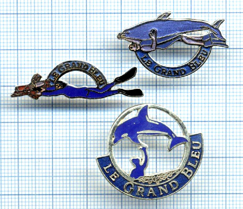 Lot pin grand bleu - pin's,
