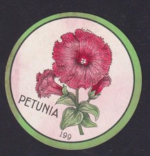 Ancienne  petite étiquette  Fromage   Hollande  BN1859318 Fleur Pétunia