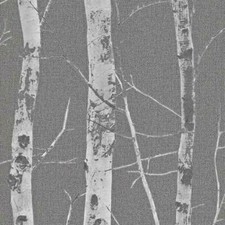 Papier peint Erismann bouleau