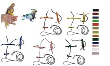 Bavoir Perroquets Taille