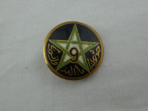 Insigne régiment - insigne, 9e