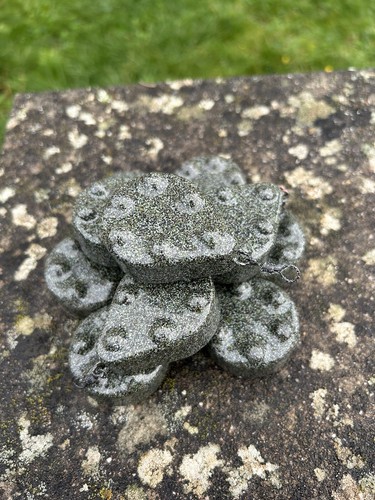 10x plombs carpe - plombs, gripp