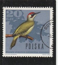 L7060 POLOGNE N° Y&T 1569 de 1966 " Oiseau Pivert  " Oblitéré