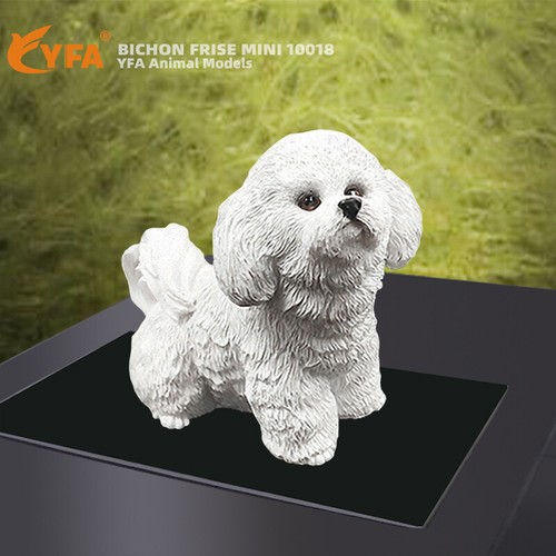 Jjm mini bichon frise - mini,