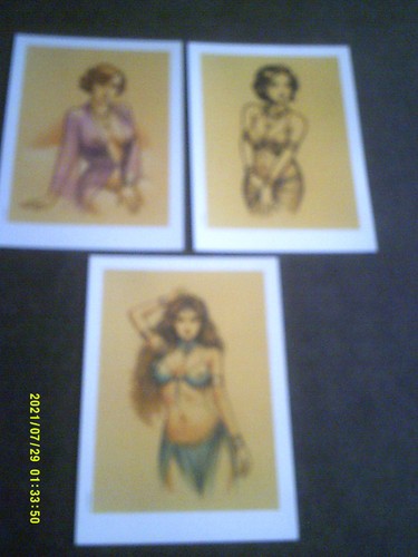 Libris l paturaud - ,