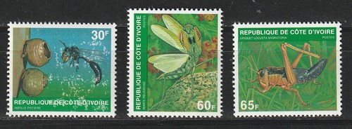 Côte ivoire 1979 insectes - d'ivoire,