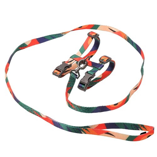 Chats accessoires laisse - accessoires,