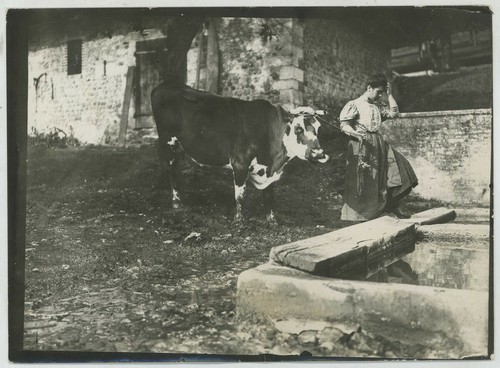 Agriculture elevage paysanne - agriculture.,