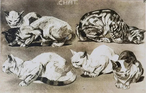Mathurin meheut le chat - mathurin,