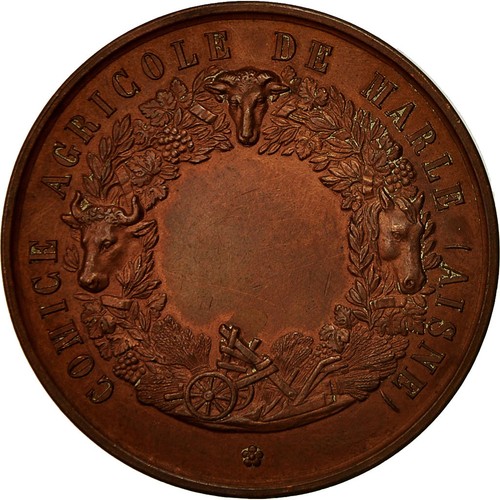 France médaille comice - france,, médaille,