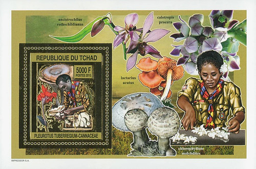 Stamps chad 2013 perf - chad,