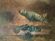 Peinture Bois Huile Jacques