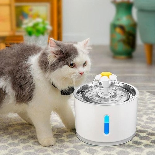 Fontaine eau pour chat - à,