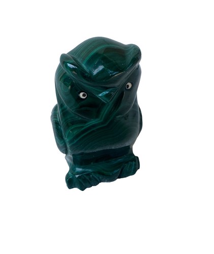 Hibou malachite naturelle - hibou, en