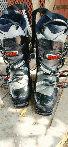 Salomon performa ski - salomon, mg