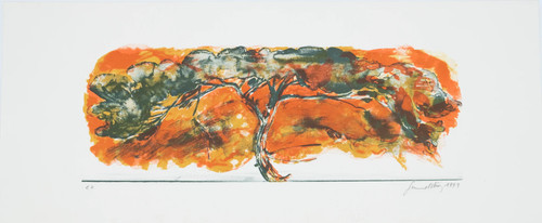 Gérard diaz acacia africain - :,