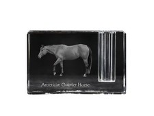 Quarter Horse américain