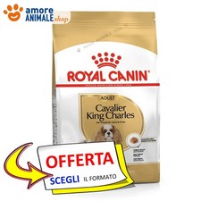 Royal Canin Chien → Adulte
