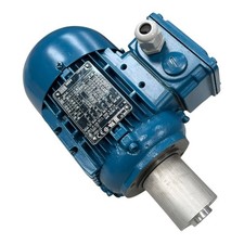 WEG W21 10670064 Moteur