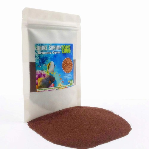 Bnyee aaa brine shrimp - bnyee,