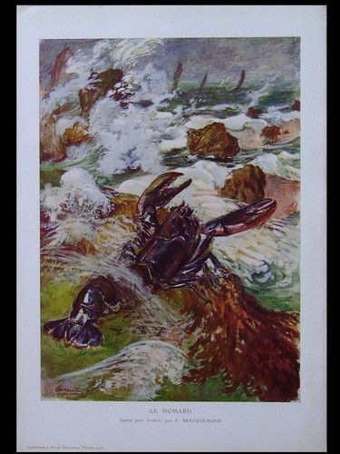 Felix bracquemond homard - felix,
