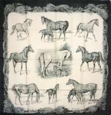 Écharpe/foulard/carre Hermès