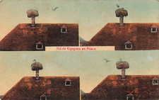 CP NID DE CIGOGNES EN ALSACE - CONSTRUCTION - 43411