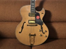 Hollow Body Byrdland Mahogany