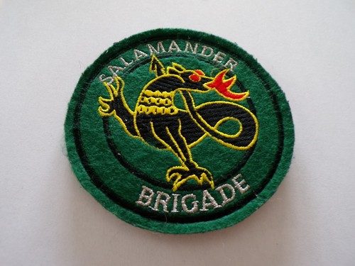 Insigne militaire patch - insigne,