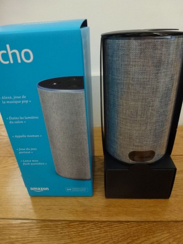 Echo 2ème génération - génération, gris