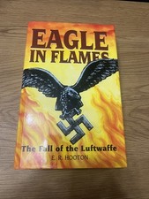 EAGLE IN FLAMES THE FALL OF