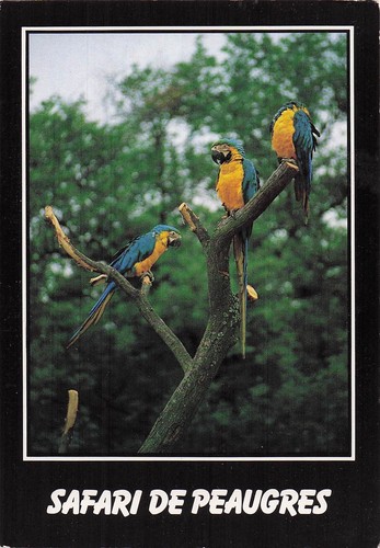 Peaugres safari - safari,
